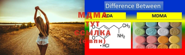стаф Осинники