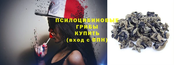 стаф Осинники