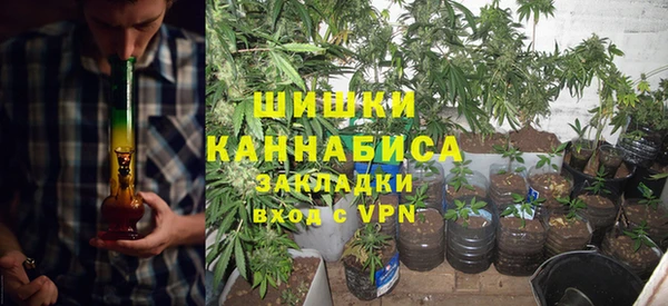 стаф Осинники