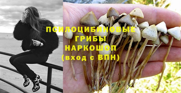 кокс Кадников