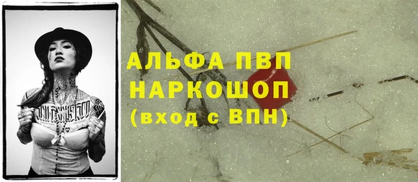 стаф Осинники
