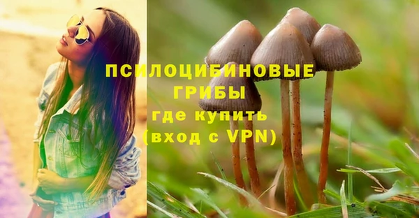 ешки Каменногорск