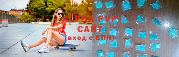 стаф Осинники