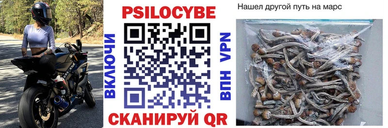 Псилоцибиновые грибы ЛСД  Алатырь 
