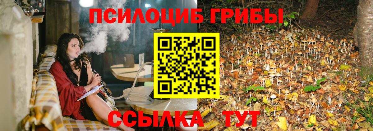 Алатырь  Галлюциногенные грибы прущие грибы  закладки  Вход с VPN 