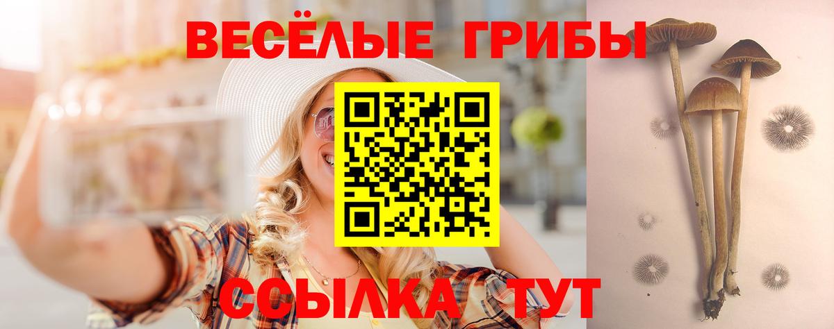 Галлюциногенные грибы Cubensis Алатырь